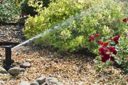 Garden Clippings: Watering Methods Image